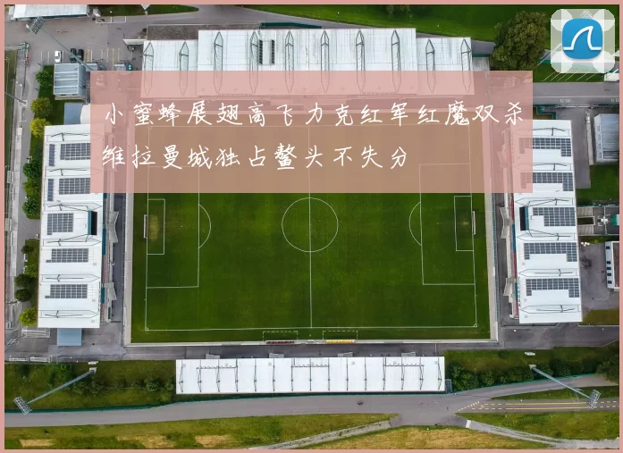 小蜜蜂展翅高飞力克红军红魔双杀维拉曼城独占鳌头不失分